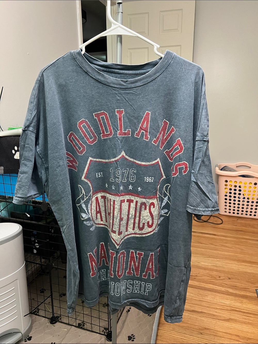 Arizona Jean Company Vintage Graphic Tee - Slate Blue with Red Accents